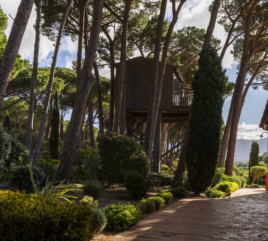 Photo - Cabane dans les arbres cabane dans les arbres corse exterieur 1 scaled cabane-dans-les-arbres-corse-exterieur-1
