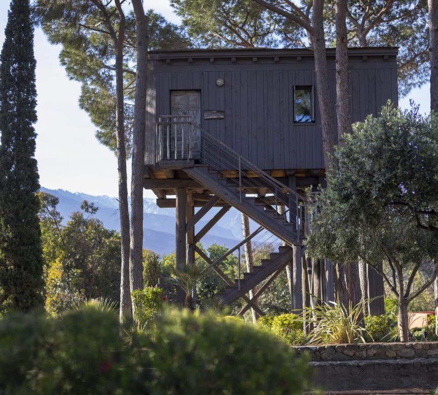 Photo - Cabane dans les arbres cabane dans les arbres corse exterieur 2 scaled cabane-dans-les-arbres-corse-exterieur-2