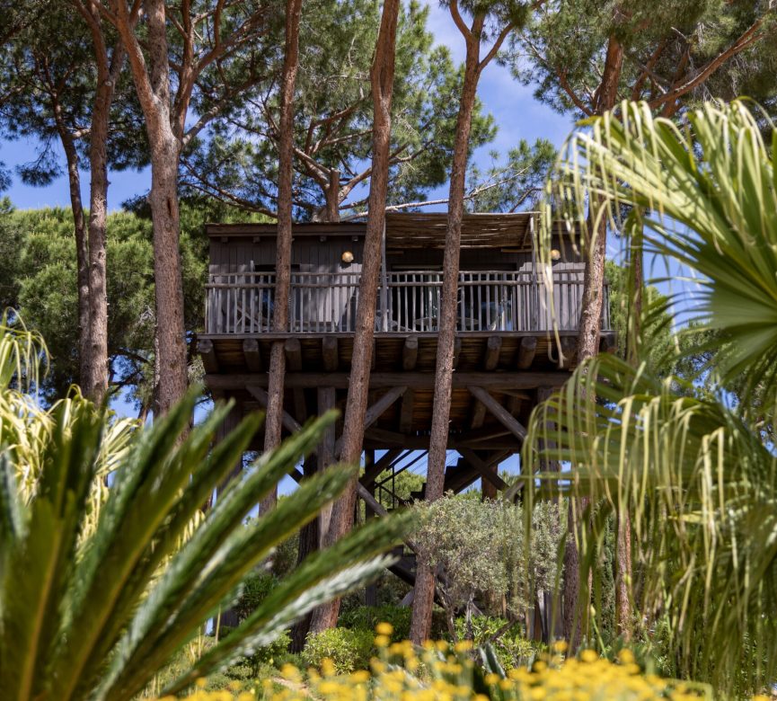 Photo - Cabane dans les arbres cabane dans les arbres corse exterieur scaled cabane-dans-les-arbres-corse-exterieur