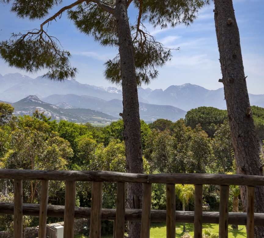 Photo - Cabane dans les arbres cabane dans les arbres corse terrasse 1 scaled cabane-dans-les-arbres-corse-terrasse-1