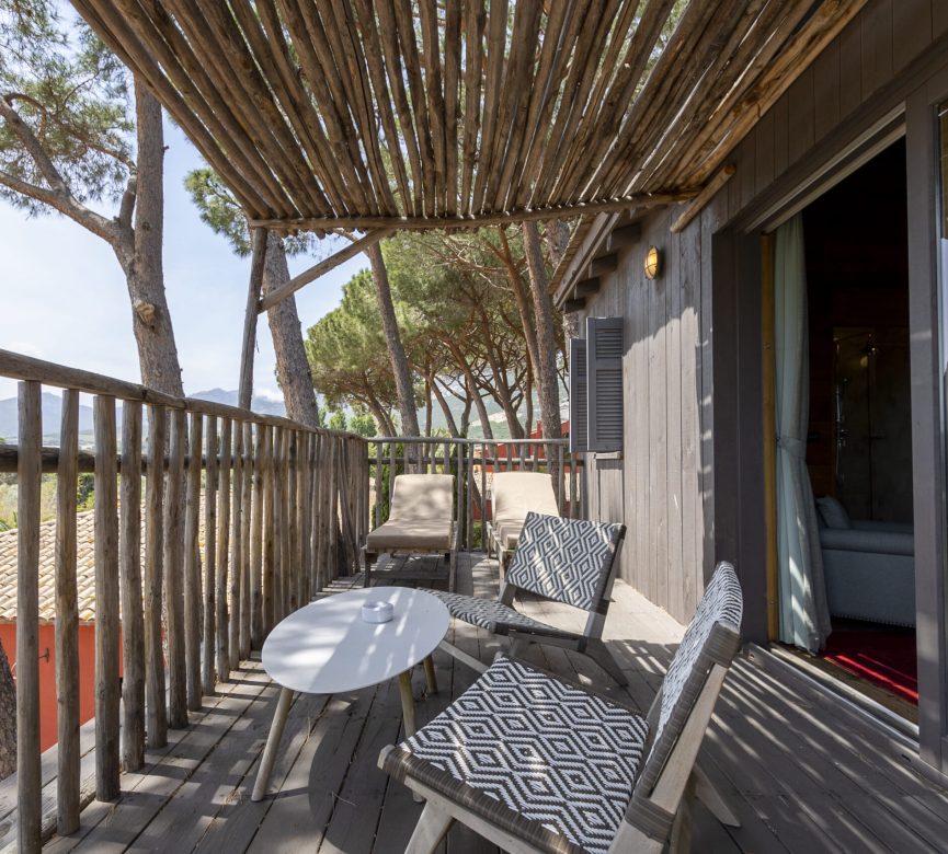 Photo - Cabane dans les arbres cabane dans les arbres corse terrasse scaled cabane-dans-les-arbres-corse-terrasse