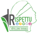 logo-rispetto