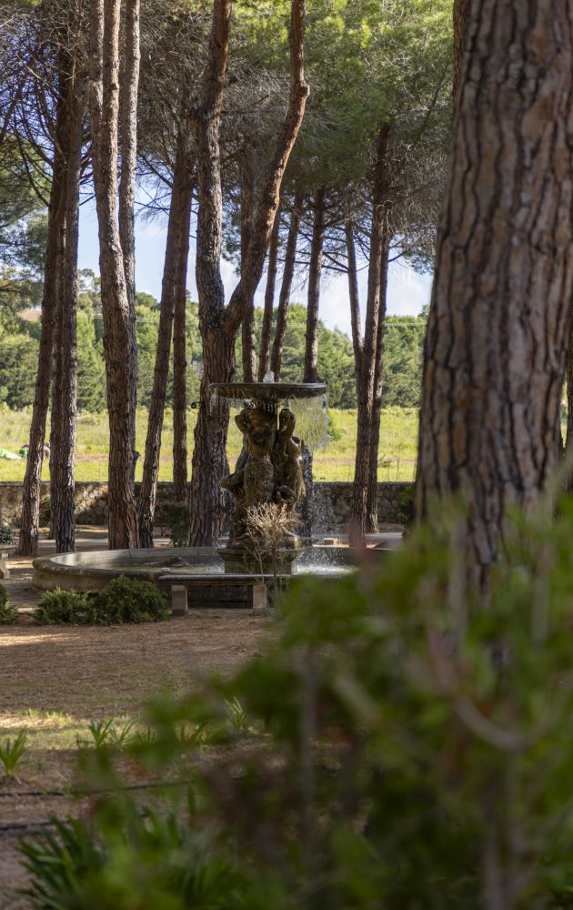 signoria-eventi-corsica